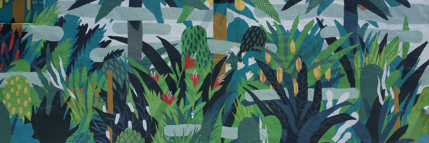 Haley Anderson banner