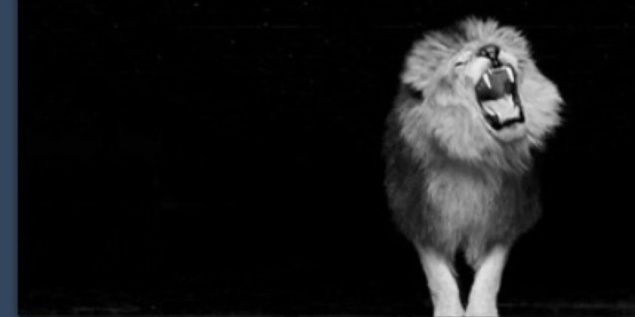 C O U R T N E Y banner