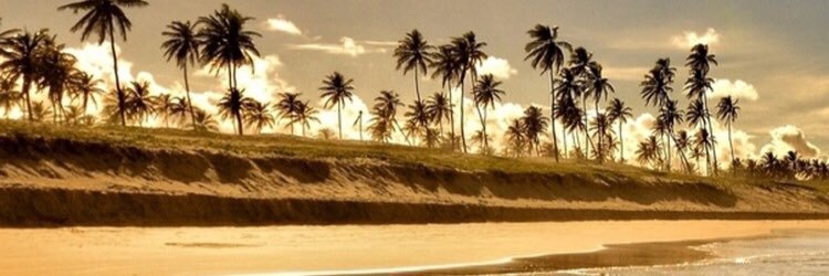 tish_watson's profile banner image