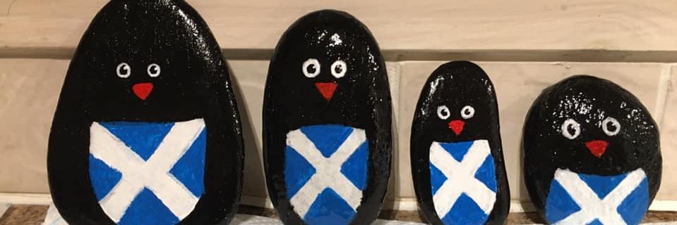 TraceyAirth's profile banner image