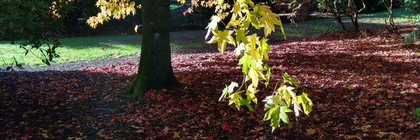 AChurchard Profile Banner