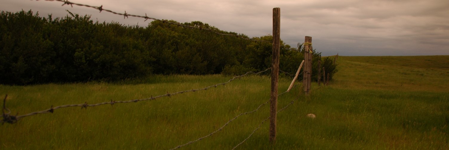 KCStylus's profile banner image