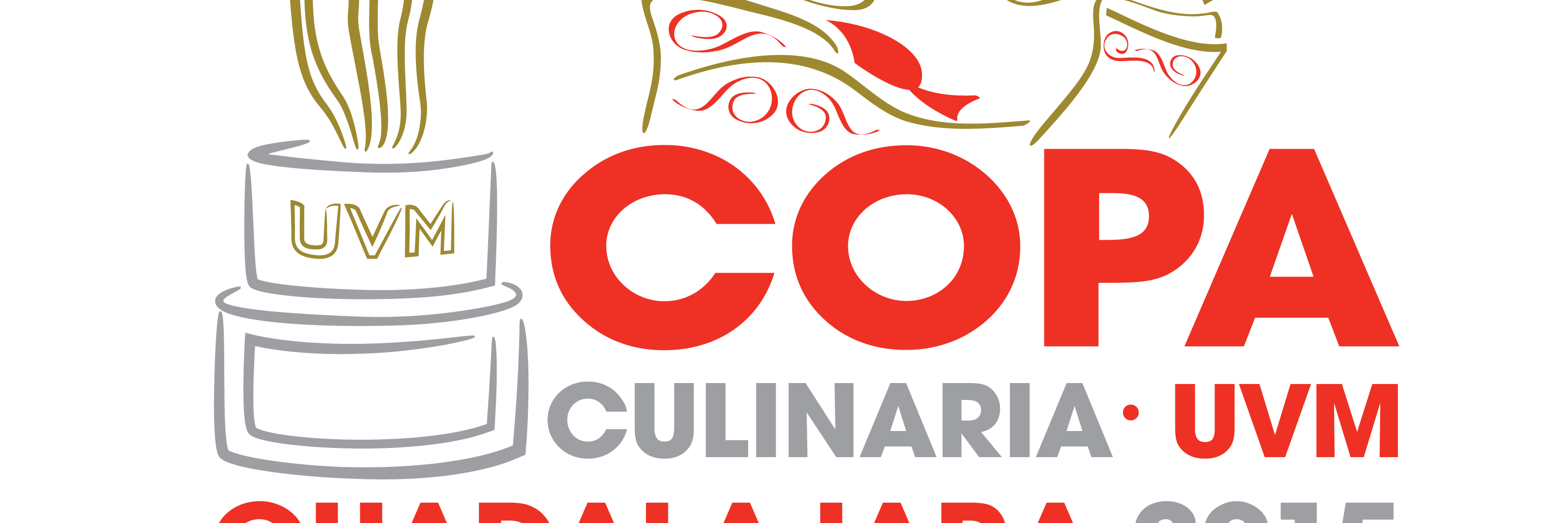 CopaUVM's profile banner image