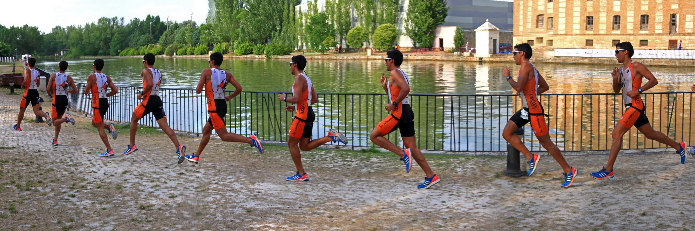 Chasis In The Middle banner