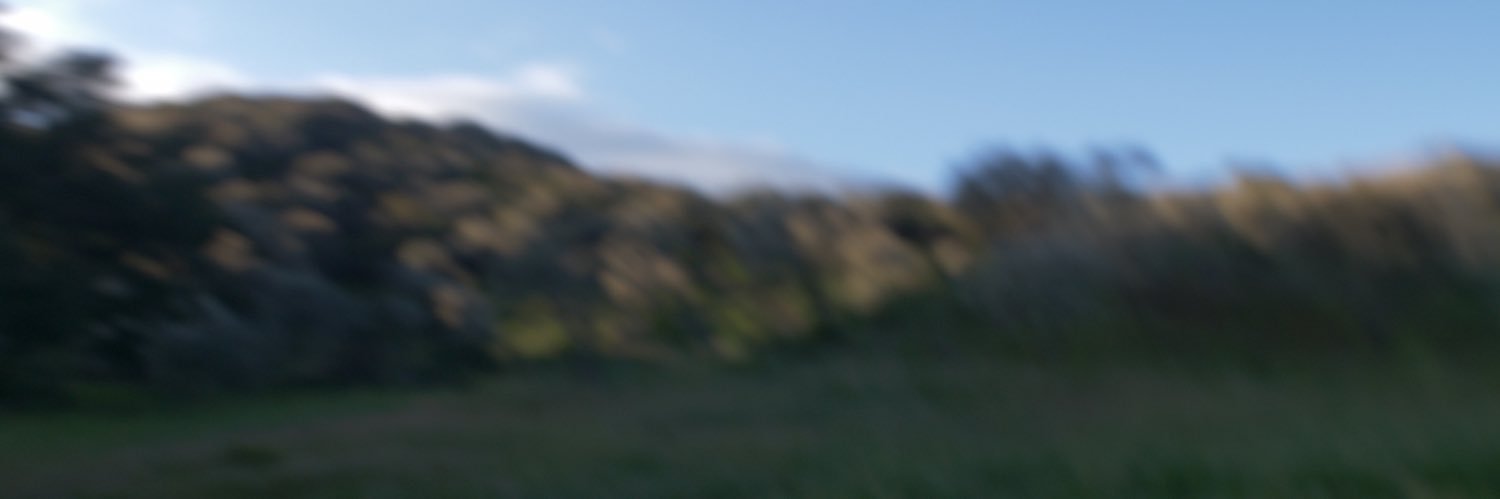 natecurry_'s profile banner image