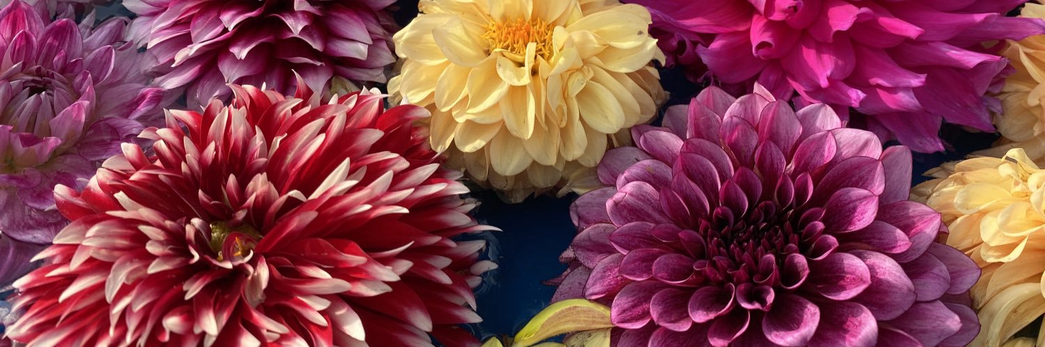 mkb_16m's profile banner image
