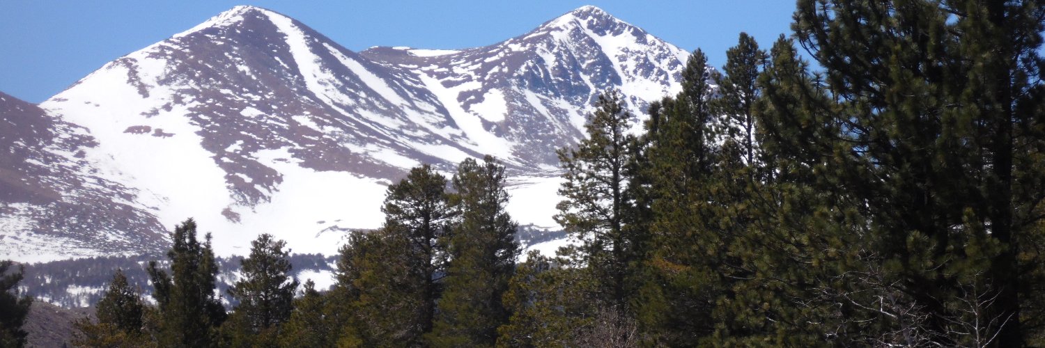 ScoutBot's profile banner image
