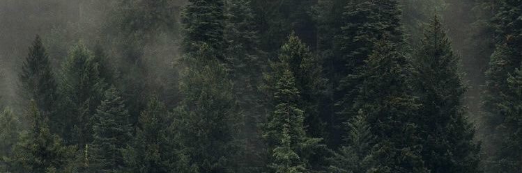 KAD banner