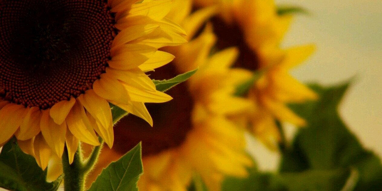 HeatherMiller93's profile banner image