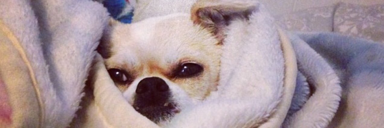 hhoneydee's profile banner image
