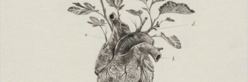 Irehida's profile banner image