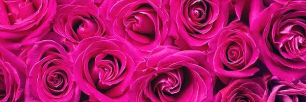 gelferraz Profile Banner