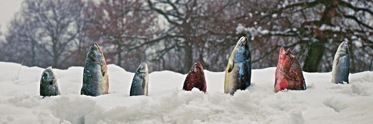 _ohitsmonday's profile banner image