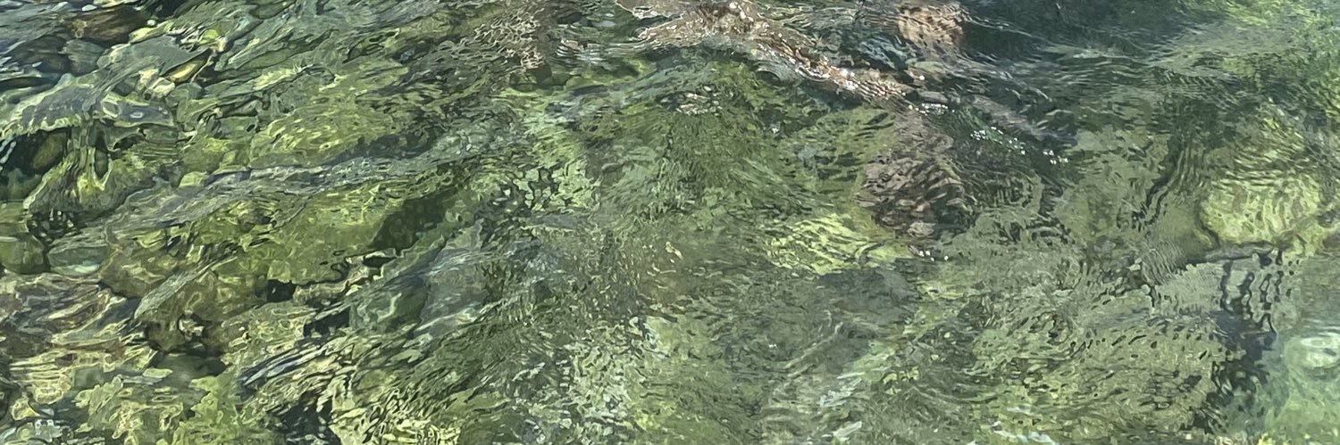 ariiprocel's profile banner image