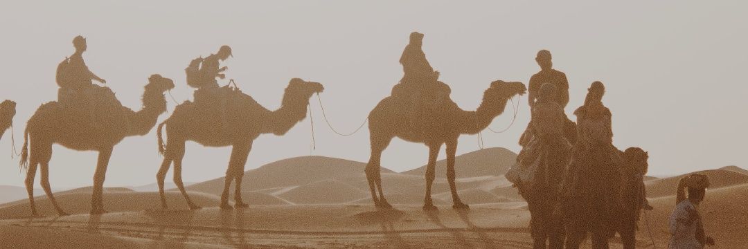 mellaty's profile banner image