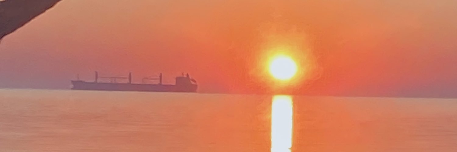 MicheleMBradley's profile banner image