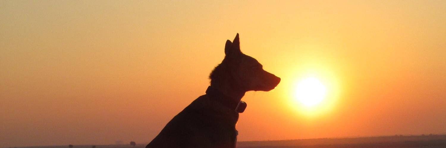 Talbot_arabia's profile banner image