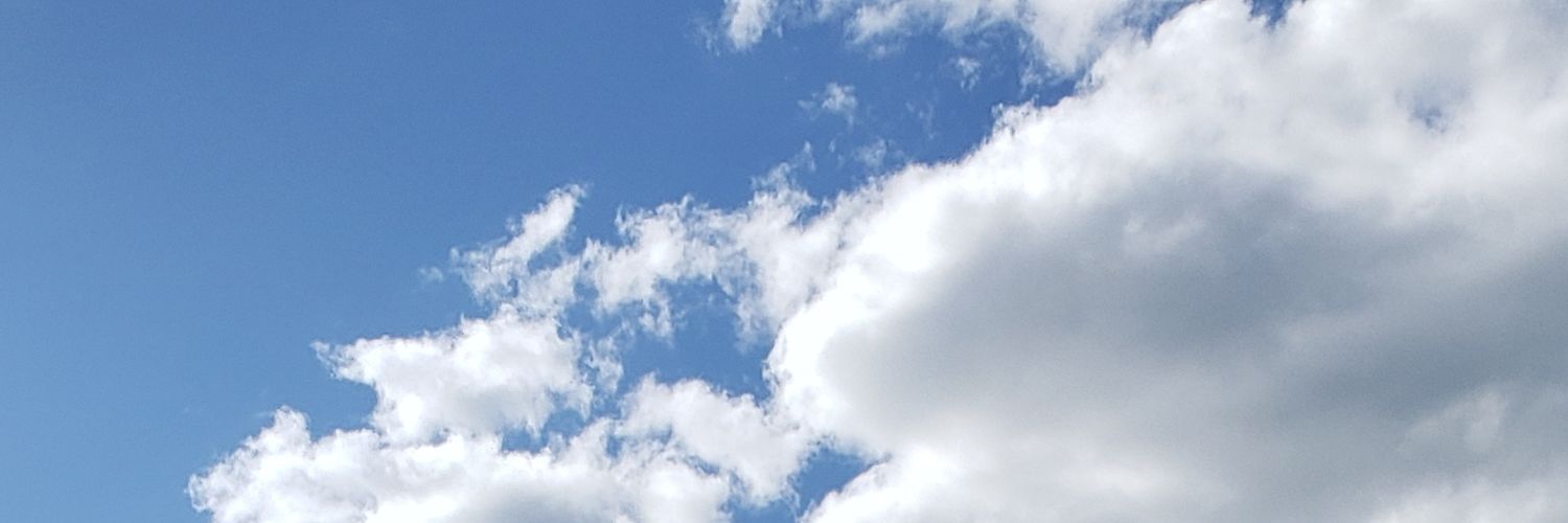 Elizabeth Devenney banner