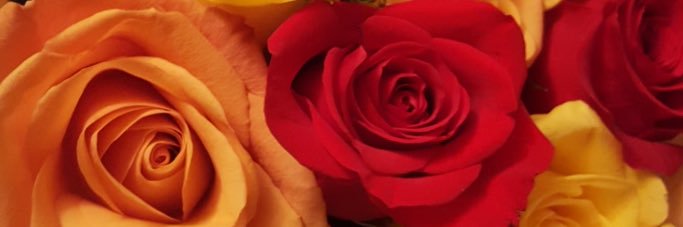 Trulymarcia's profile banner image