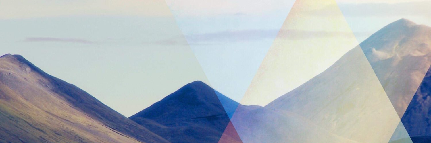 Scott Riesterer banner