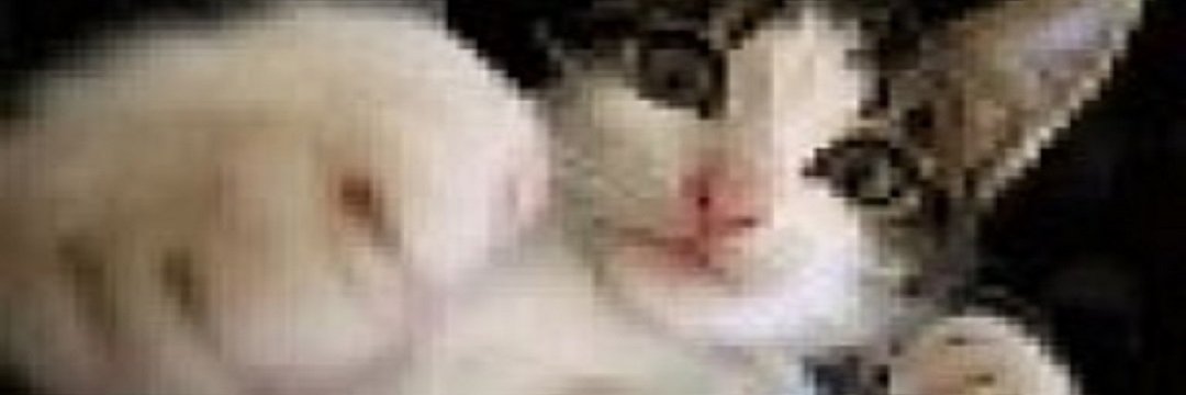 PunchingPuzzy's profile banner image