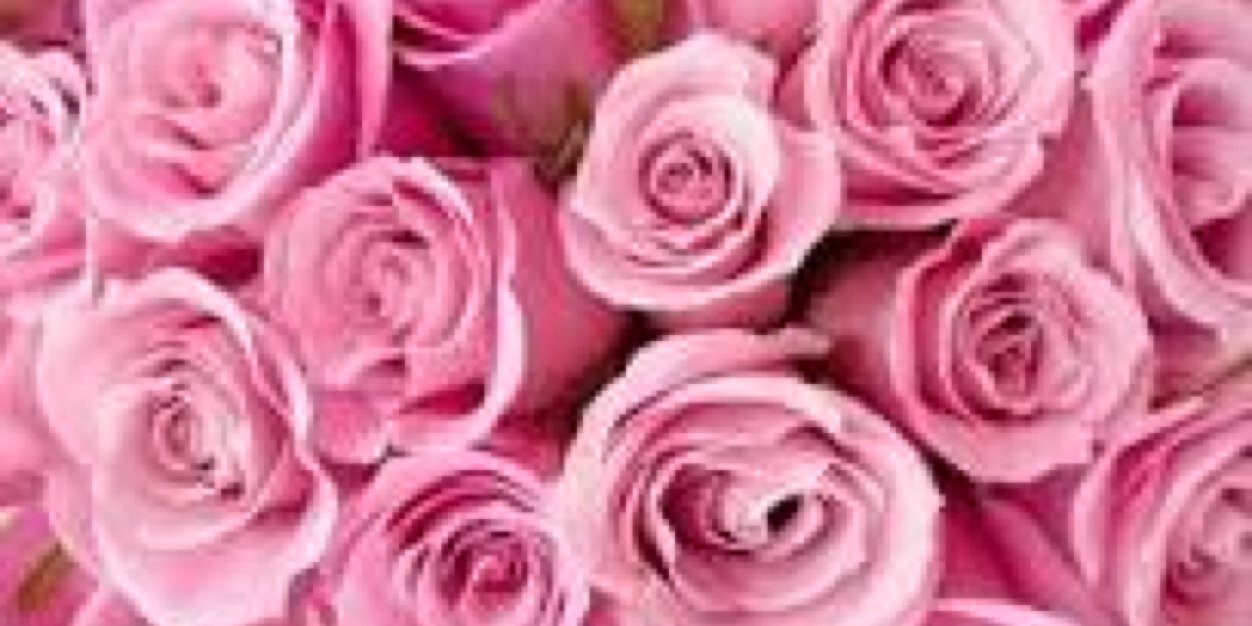 rowena_h's profile banner image