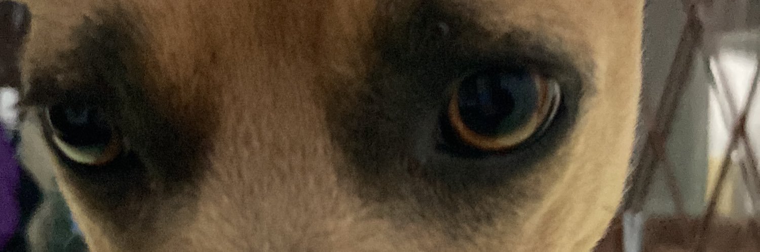 bborges_'s profile banner image
