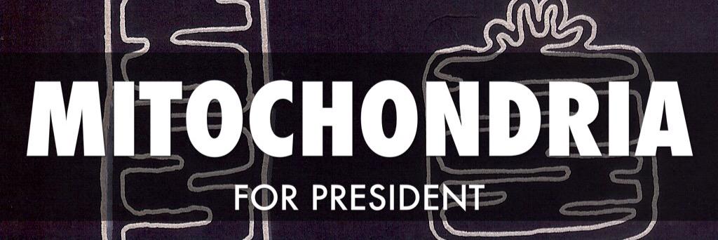 M_ightyChondria's profile banner image