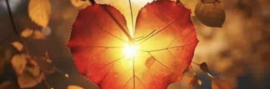 kazish310's profile banner image