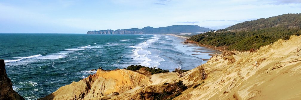 Steve Simpson banner