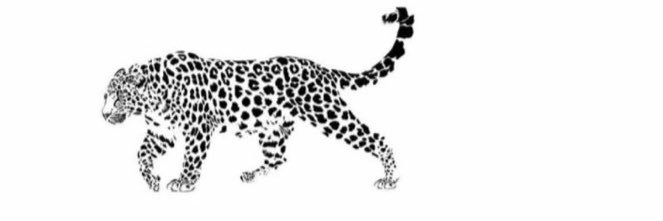 IS3D's profile banner image