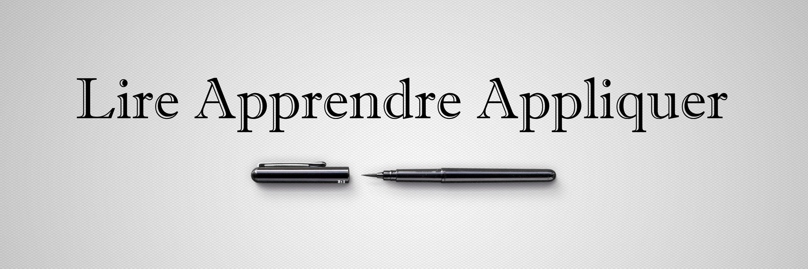 LireApAp's profile banner image