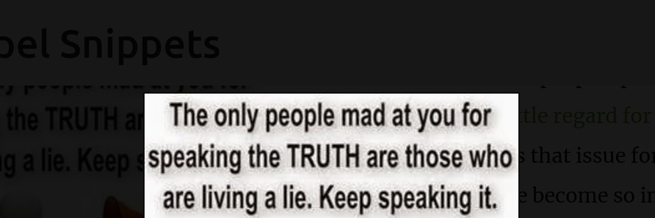Truth Speaker banner