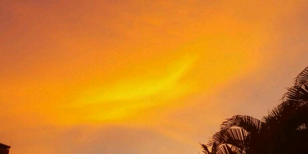 SaraValldares's profile banner image