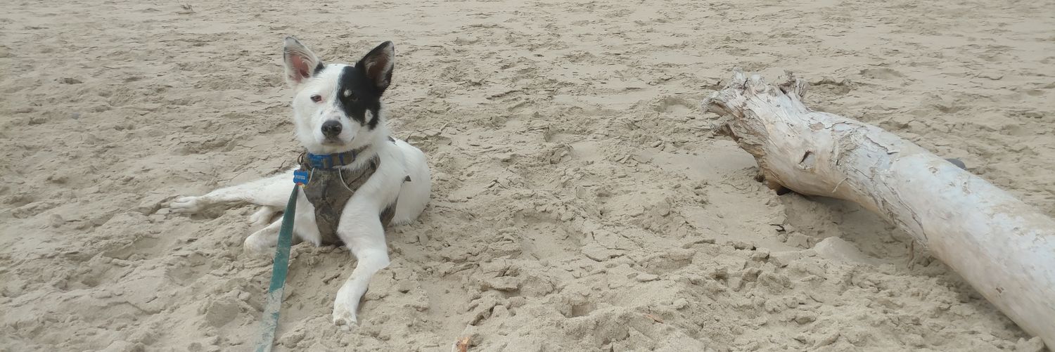 Jabreeeeezy's profile banner image