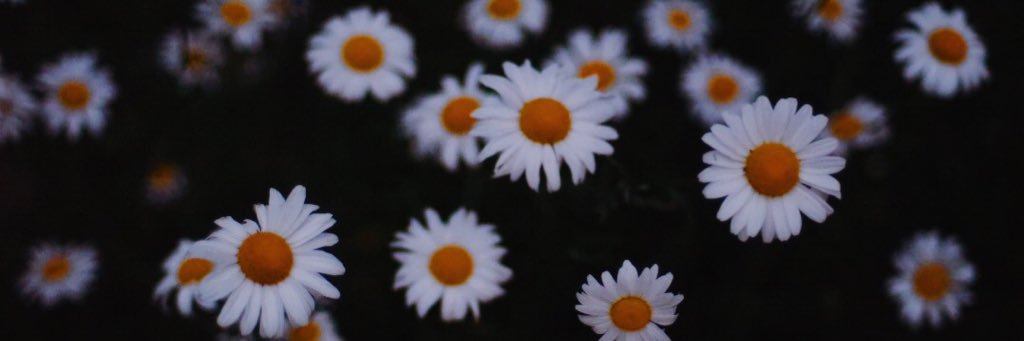LeaMarkham's profile banner image