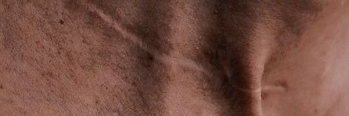 ShifDel's profile banner image