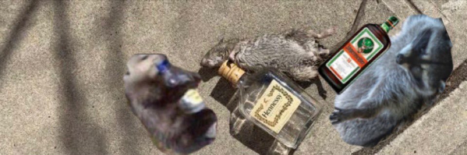 _garBIITCH's profile banner image