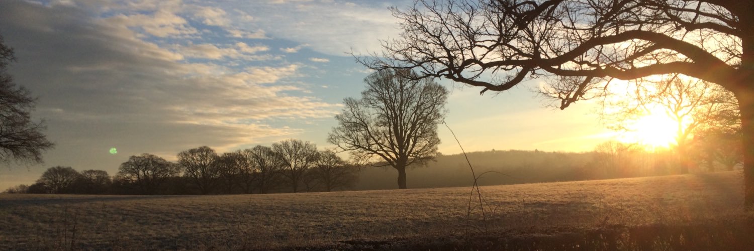 seanemmerson2's profile banner image