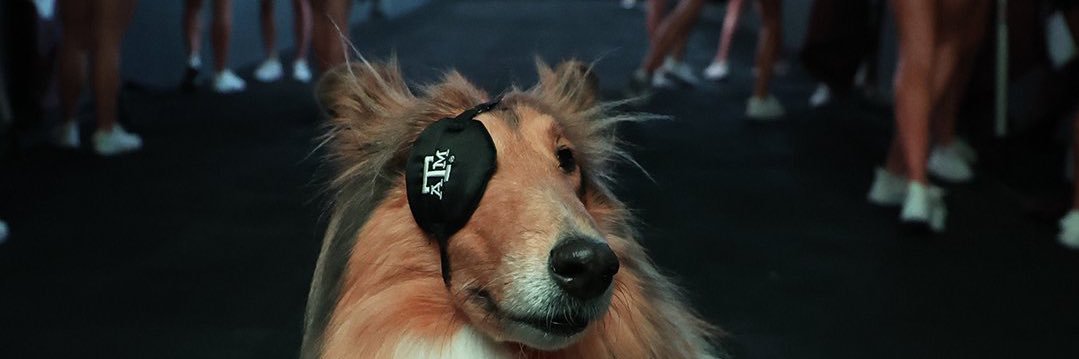 JonaWeeks's profile banner image
