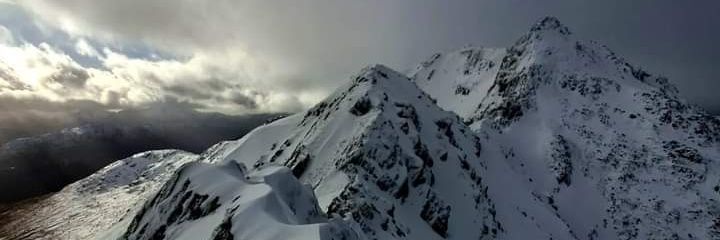 Steve Richards banner