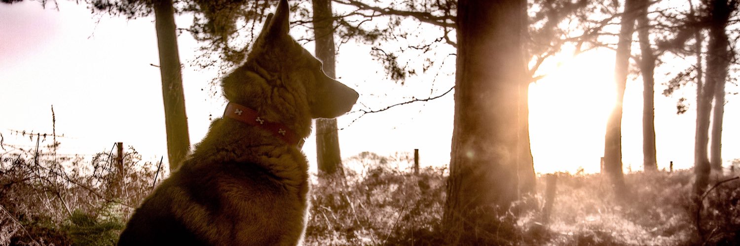 MykyGraham's profile banner image