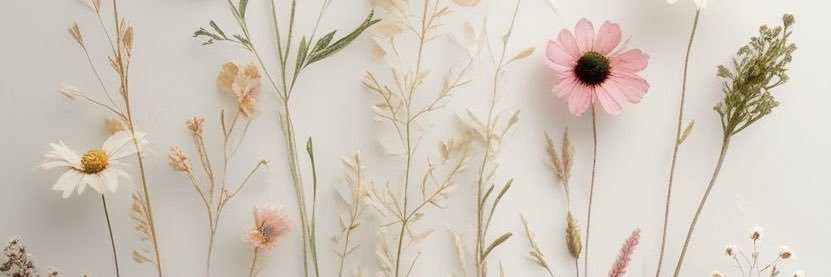 mitzimag97's profile banner image