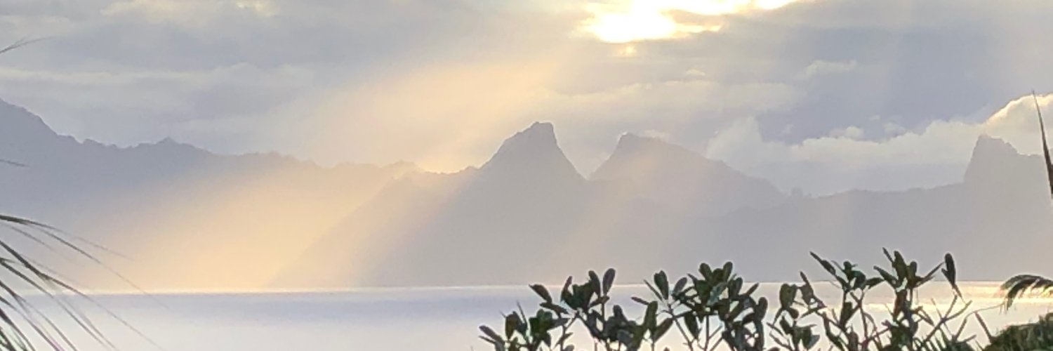 Dann Naseemullah @dnaseemullah.bsky.social banner