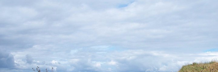 BarbScan16's profile banner image