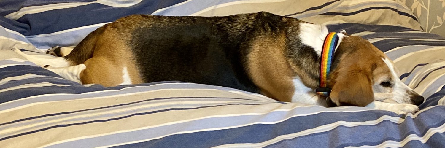 Buster Beagle 🌈 and Graham banner