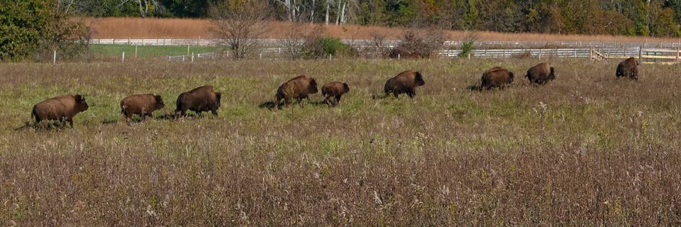 MetroParkFriend's profile banner image