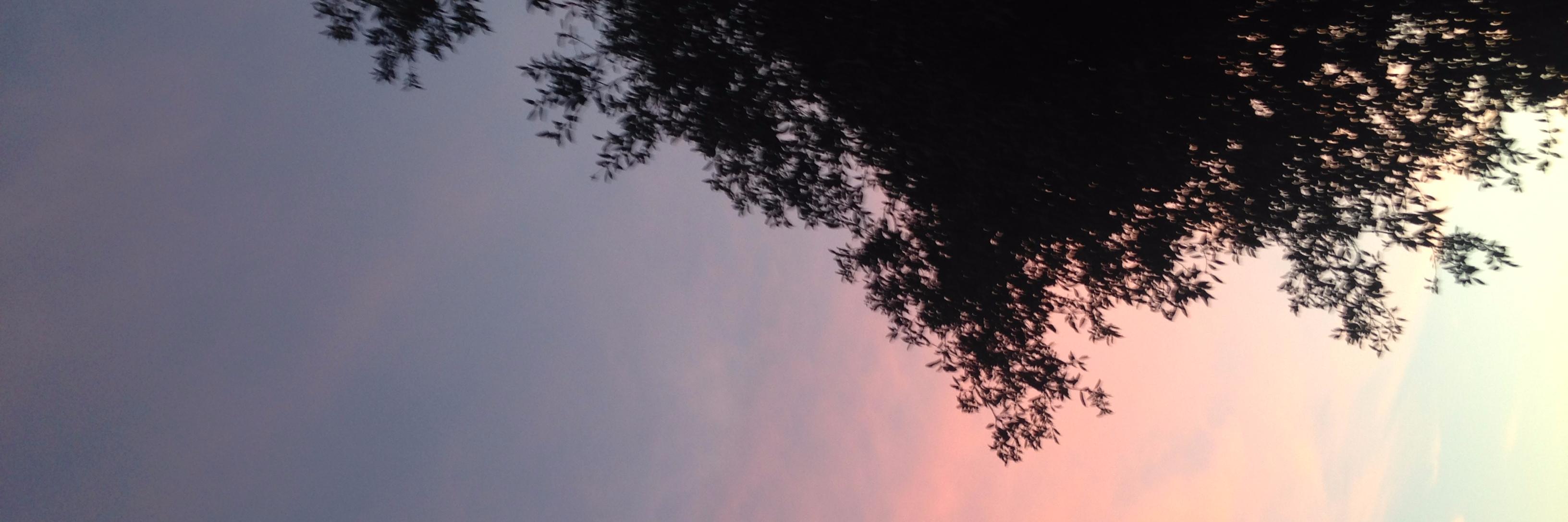 ForsterEnglish's profile banner image