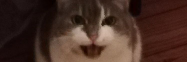 Stinooow's profile banner image