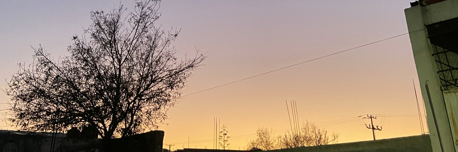 pollypocket9898's profile banner image